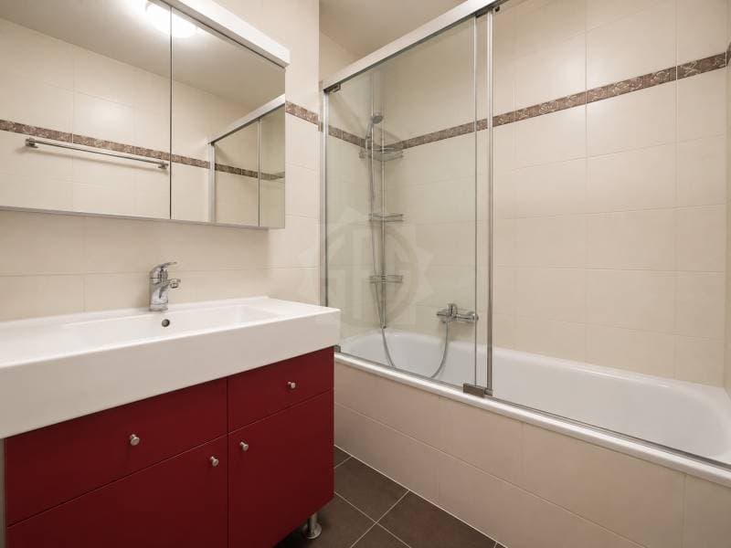 Appartement lumineux - La Plaine (7)