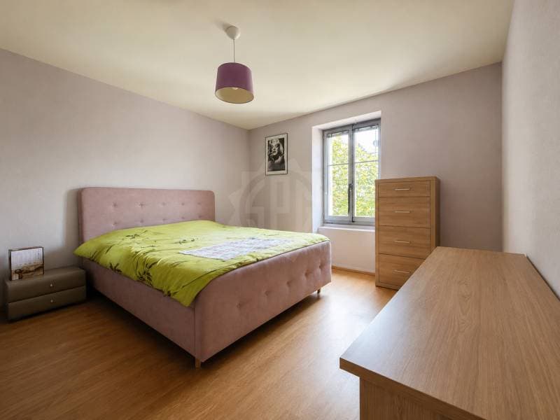 Appartement lumineux - La Plaine (5)