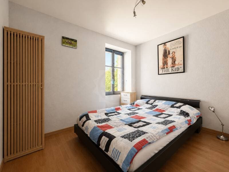 Appartement lumineux - La Plaine (4)
