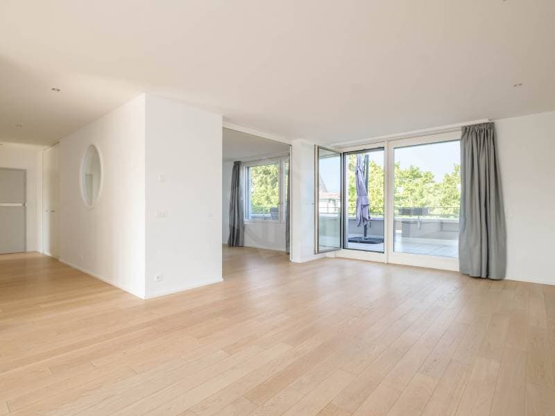 Appartement spacieux - Genève (2)