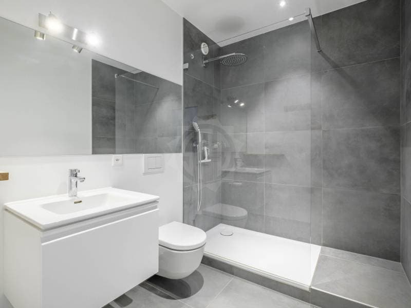 Appartement spacieux - Genève (7)