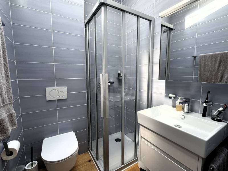 Appartement lumineux - Troinex (11)