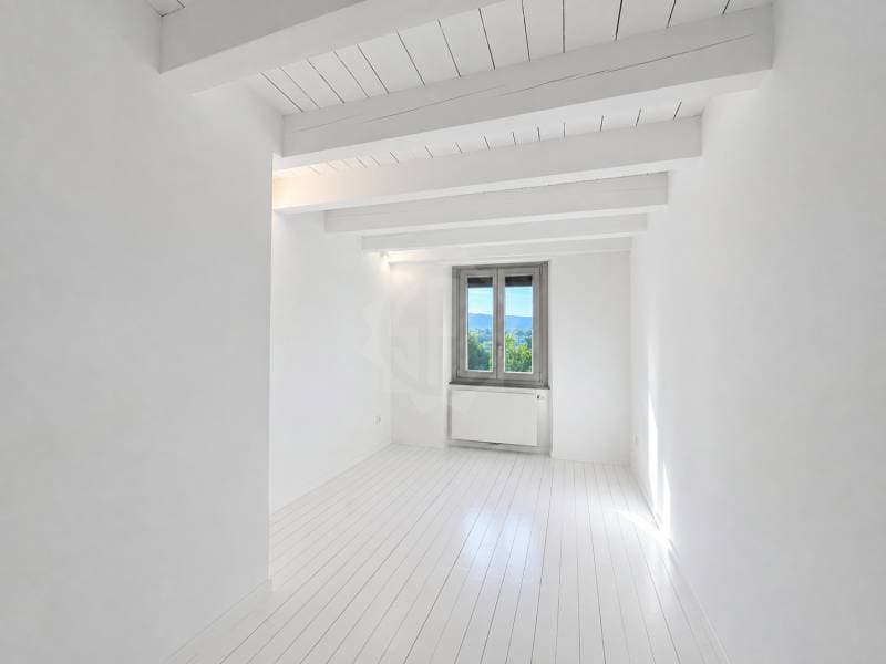 Chaleureuse villa - Athenaz (Avusy) (10)
