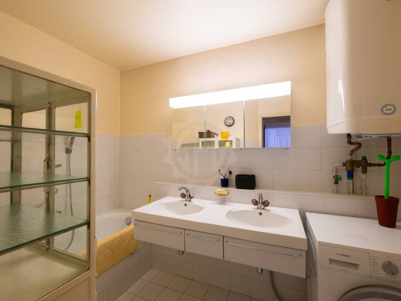 Chaleureux appartement - Chêne-Bourg (9)