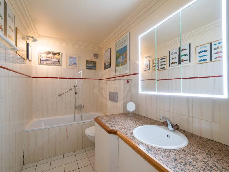 Chaleureux appartement - Chêne-Bourg (8)