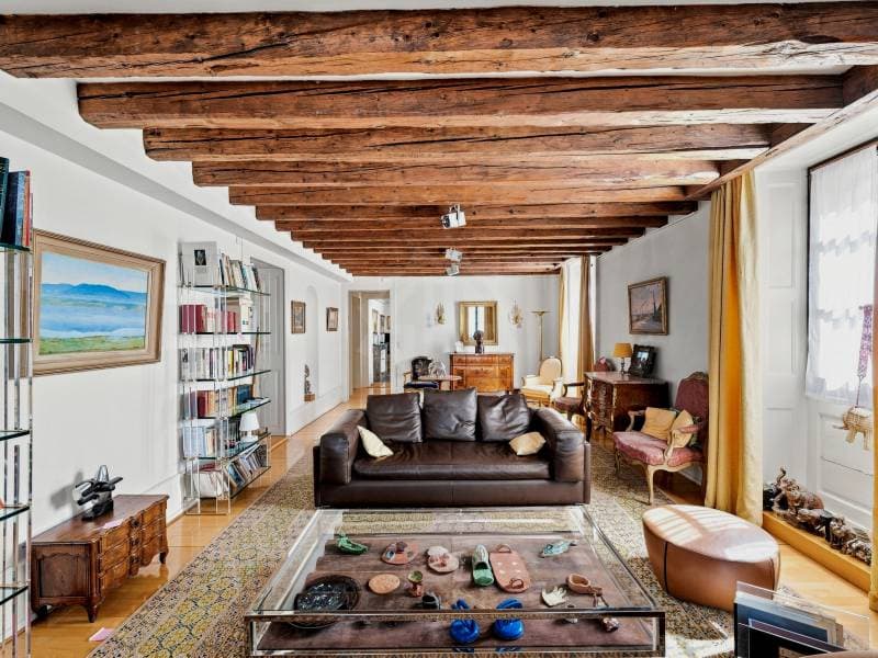 Chaleureux appartement - Chêne-Bourg (3)