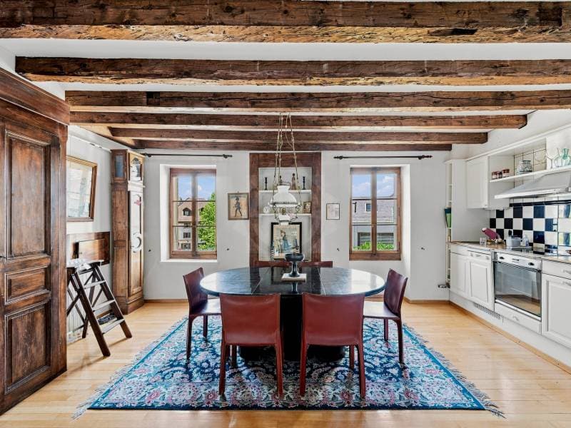 Chaleureux appartement - Chêne-Bourg (4)