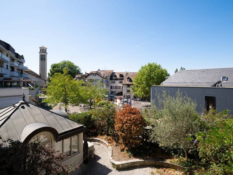 Chaleureux appartement - Chêne-Bourg (11)