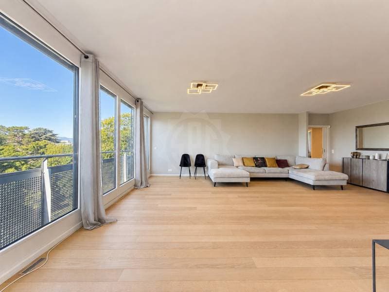 Appartement exceptionnel - Genève (3)