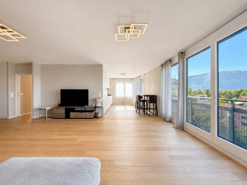 Appartement exceptionnel - Genève (2)