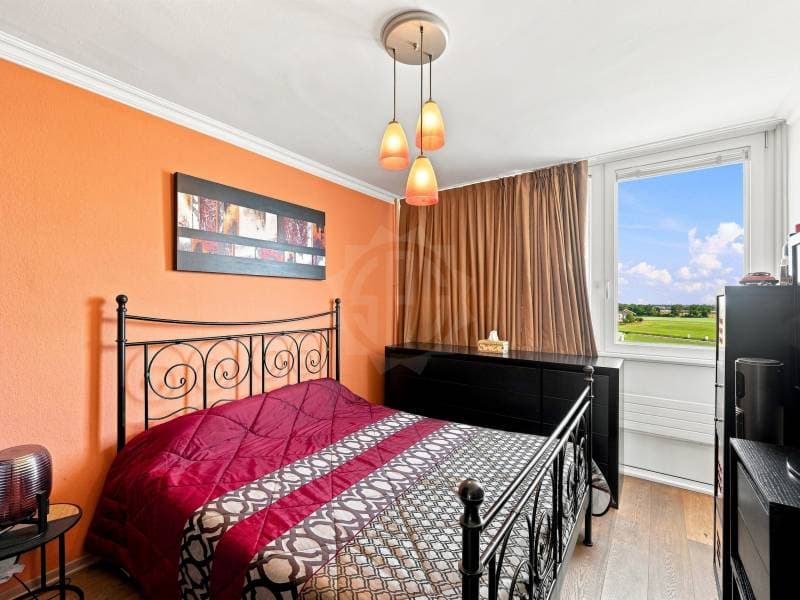 Grand  appartement - Meyrin (9)