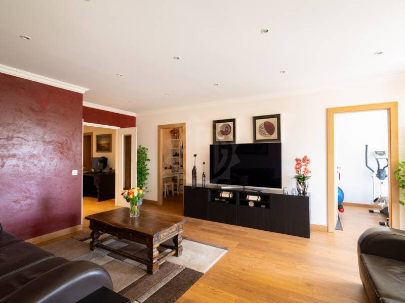 Grand  appartement - Meyrin (2)