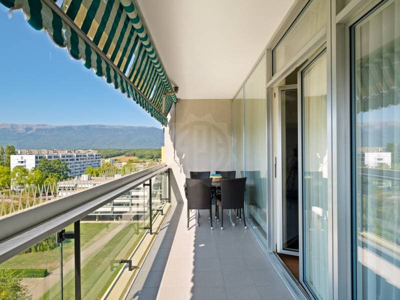 Grand  appartement - Meyrin (10)