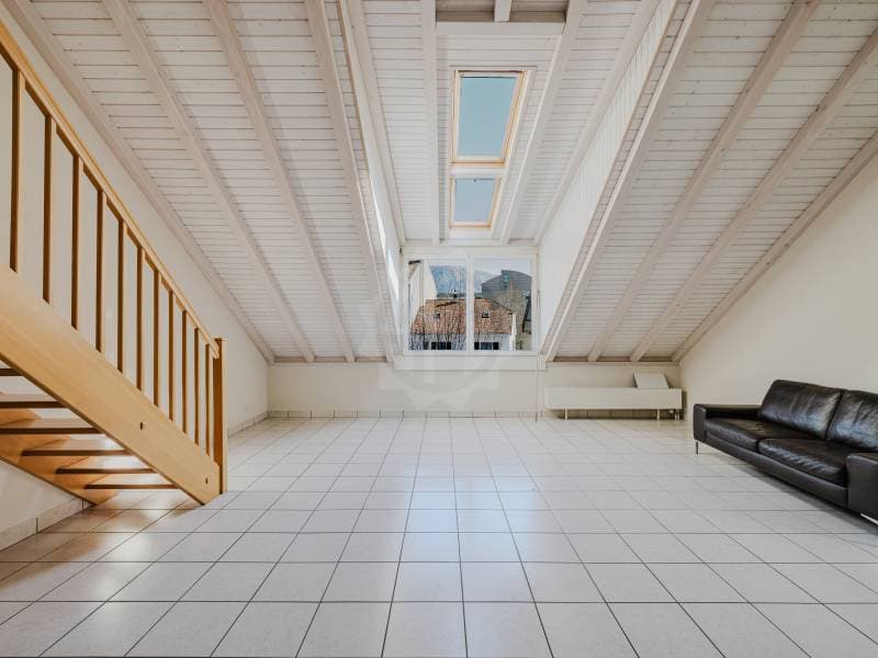 Bel appartement - Plan-les-Ouates (2)