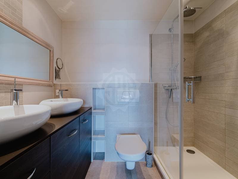 Bel appartement - Plan-les-Ouates (11)