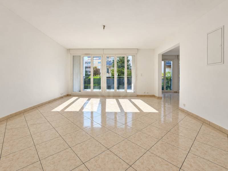 Chaleureux appartement - Le Grand-Saconnex (3)
