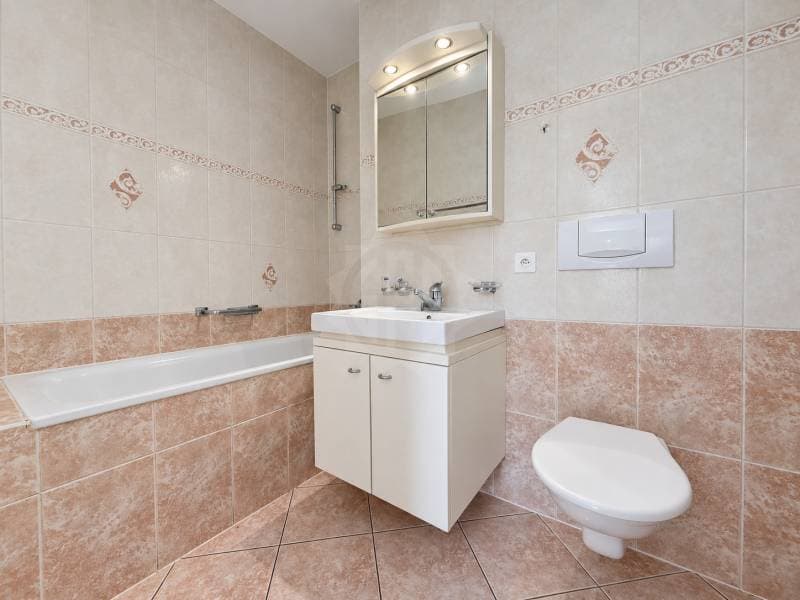 Chaleureux appartement - Le Grand-Saconnex (9)