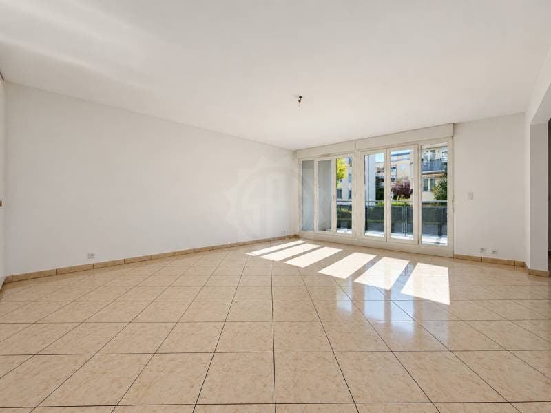 Chaleureux appartement - Le Grand-Saconnex (2)