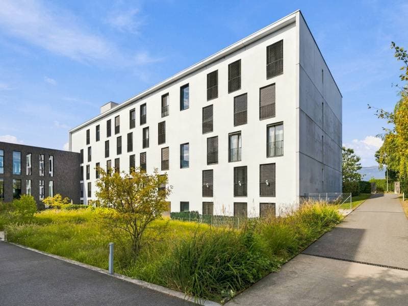 Bel appartement - Meyrin (1)