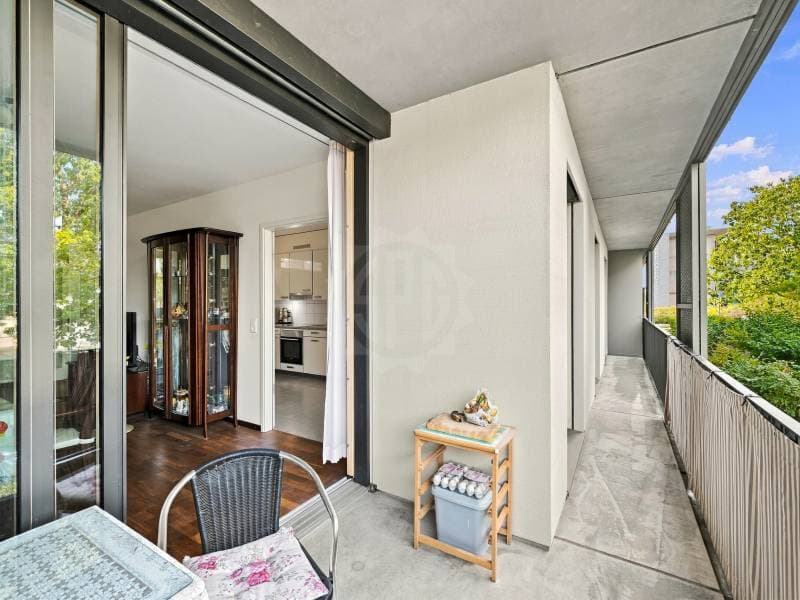 Bel appartement - Meyrin (4)