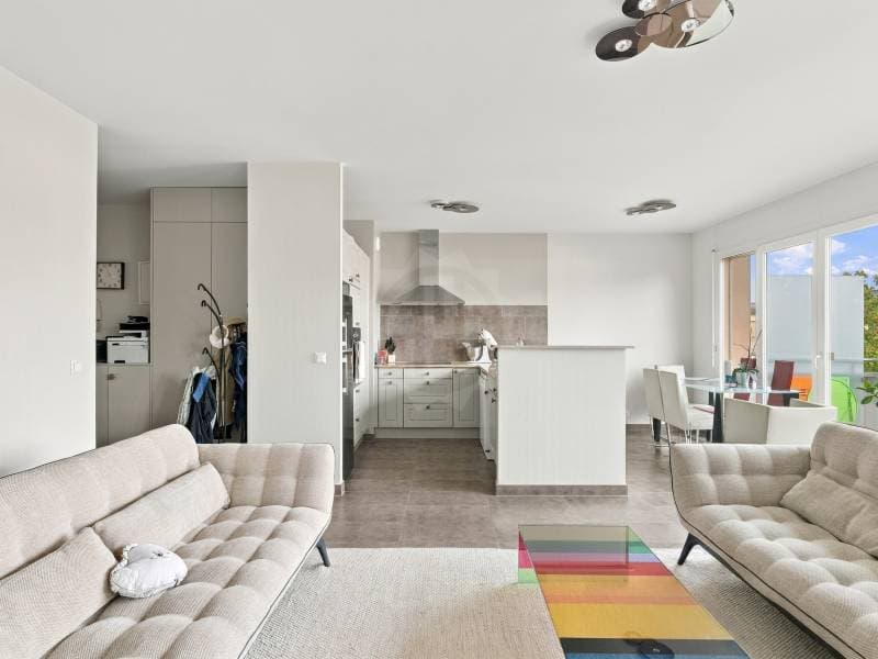 Appartement lumineux - Versoix (2)