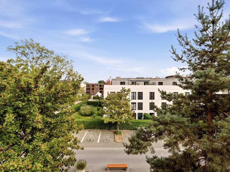 Appartement lumineux - Versoix (9)