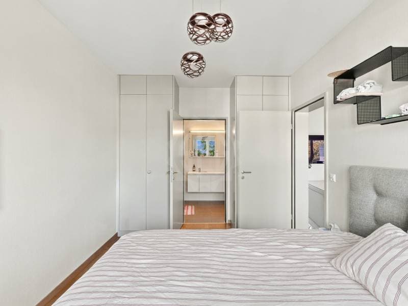 Appartement lumineux - Versoix (4)