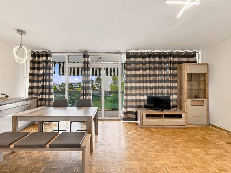 Magnifique appartement - Meyrin (3)