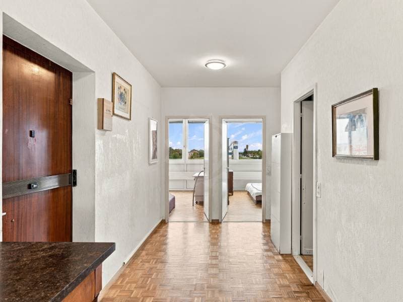 Magnifique appartement - Meyrin (6)