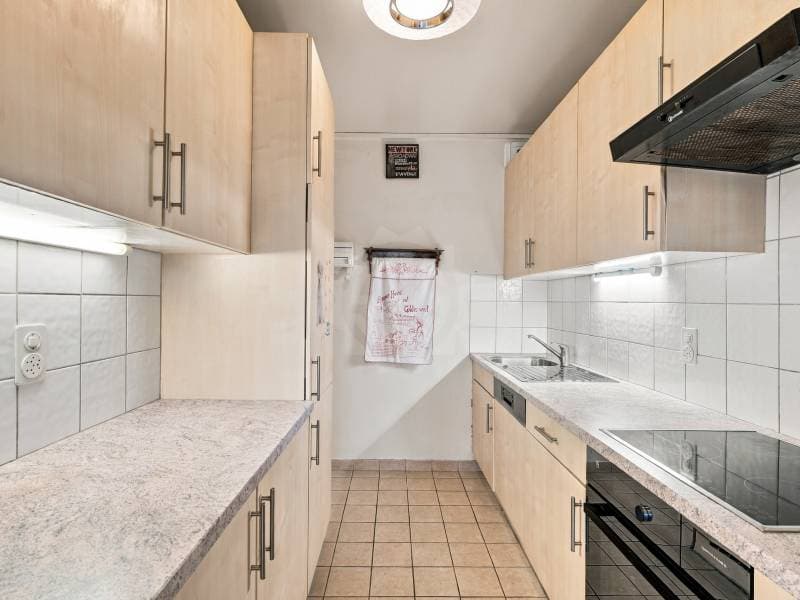 Magnifique appartement - Meyrin (5)