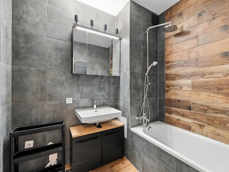 Magnifique appartement - Meyrin (11)