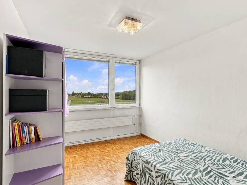 Magnifique appartement - Meyrin (9)