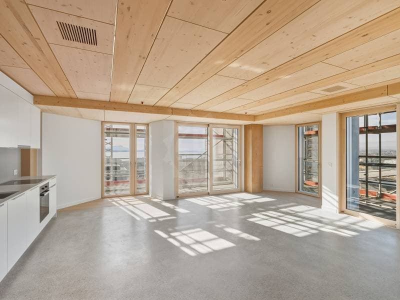 Magnifique appartement - Prilly (4)