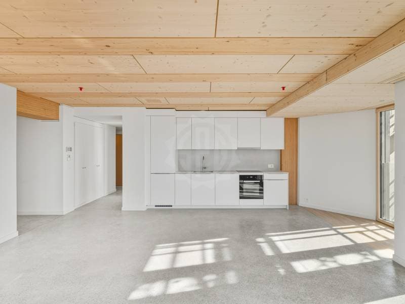 Magnifique appartement - Prilly (3)