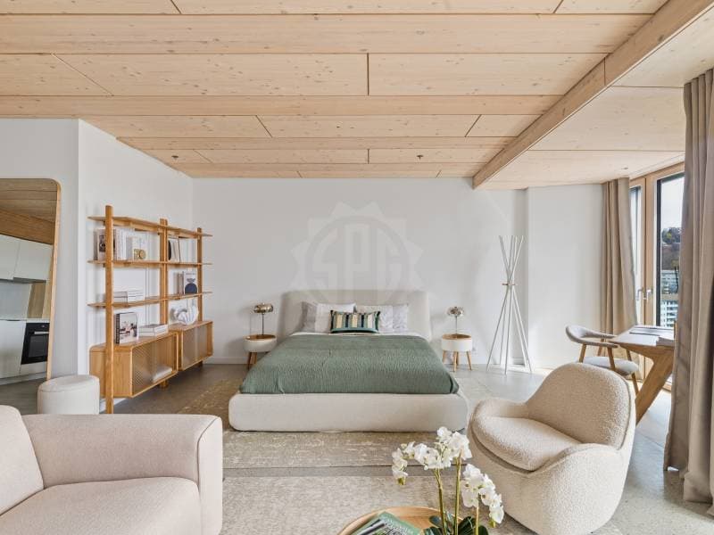 Magnifique appartement - Prilly (7)