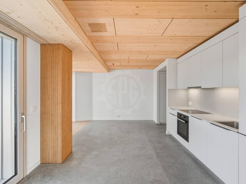 Magnifique appartement - Prilly (4)