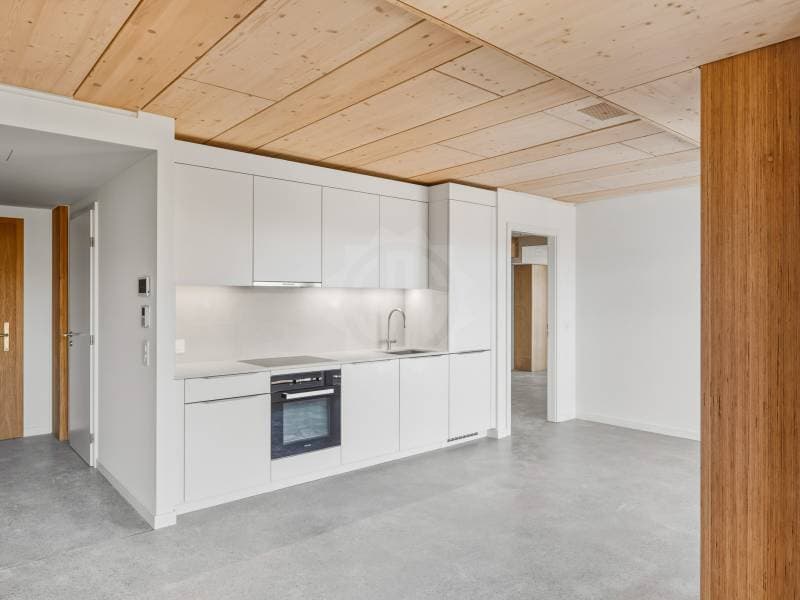 Magnifique appartement - Prilly (1)