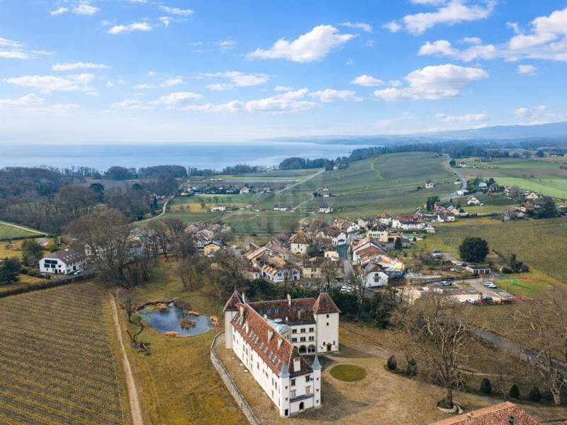 Appartement lumineux - Allaman (8)