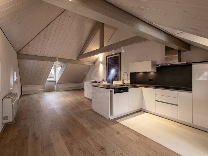 Appartement lumineux - Allaman (6)