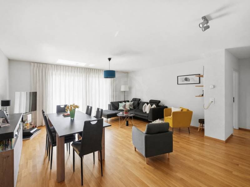Appartement agréable - Nyon (1)