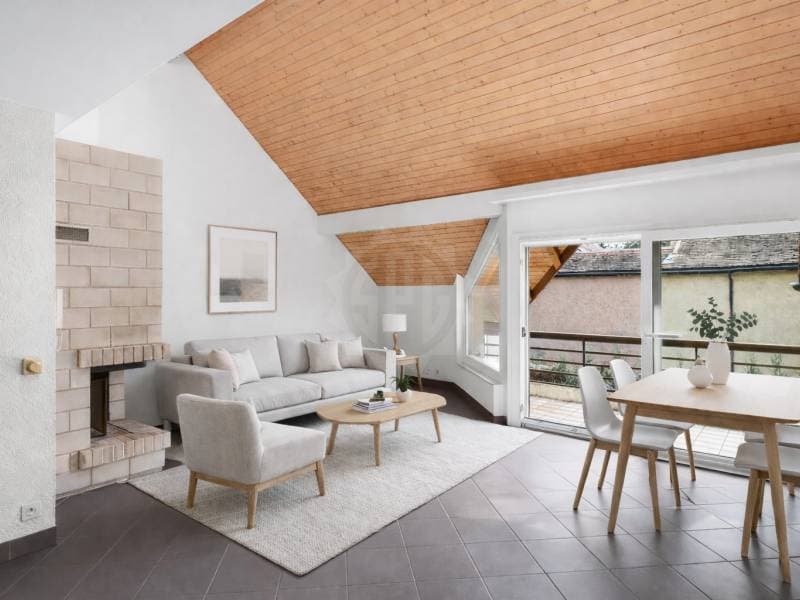 Charmant appartement - Nyon (1)