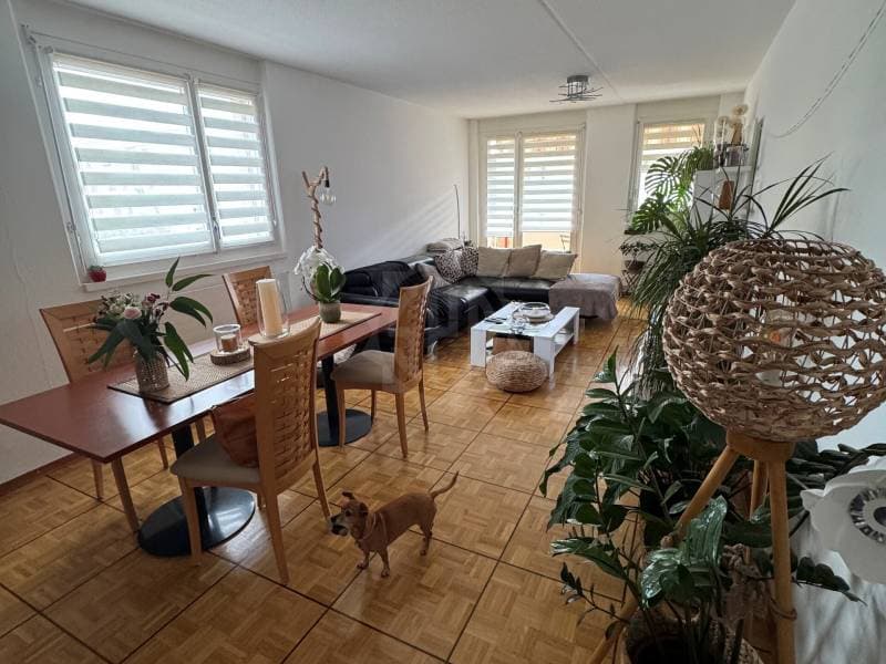 Appartement agréable - Mont-sur-Rolle (3)