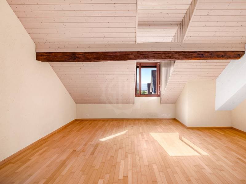 Appartement conviviale - Trélex (5)