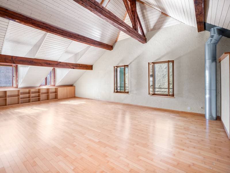 Appartement conviviale - Trélex (7)