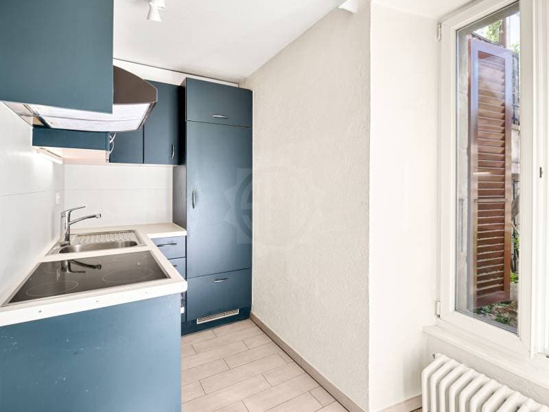 Bel appartement - Begnins (3)