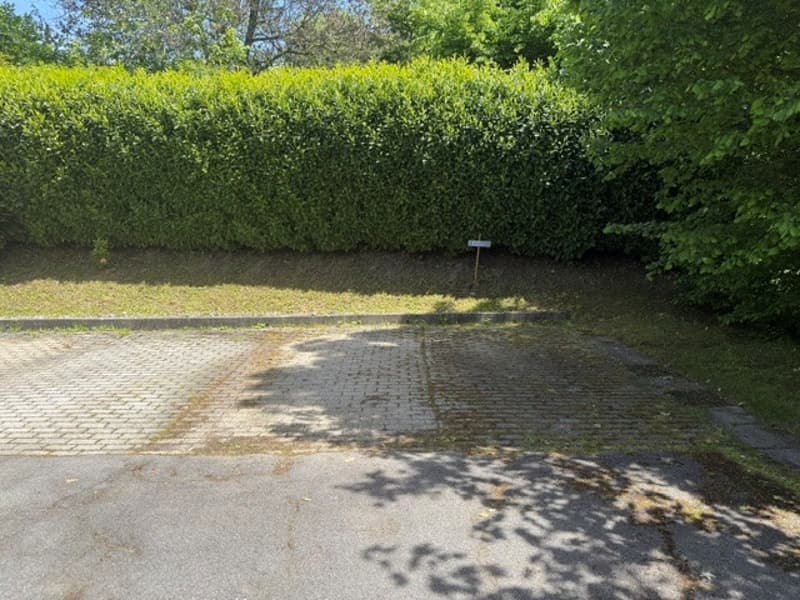 Spacieux appartement de 5.5 pièces à Savigny (13)