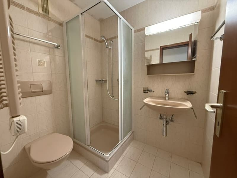Spacieux appartement de 5.5 pièces à Savigny (9)