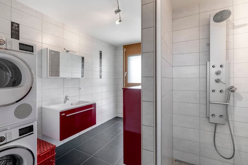 washer, dryer, sink, red cupboard, shower