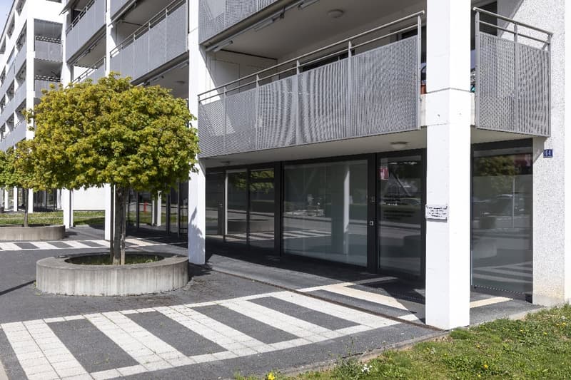 Surface commerciale / cabinet (1)