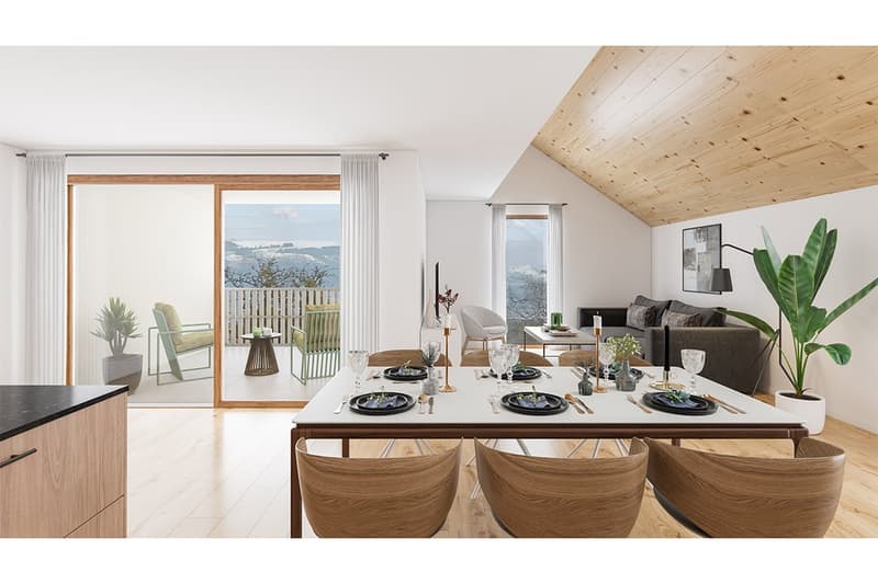 Magnifique appartement neuf en duplex (2)